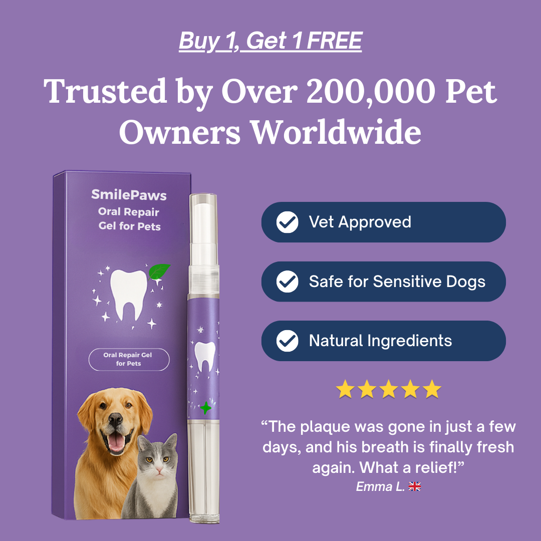 SmilePaws: The easiest way to protect your dog’s teeth — before problems start