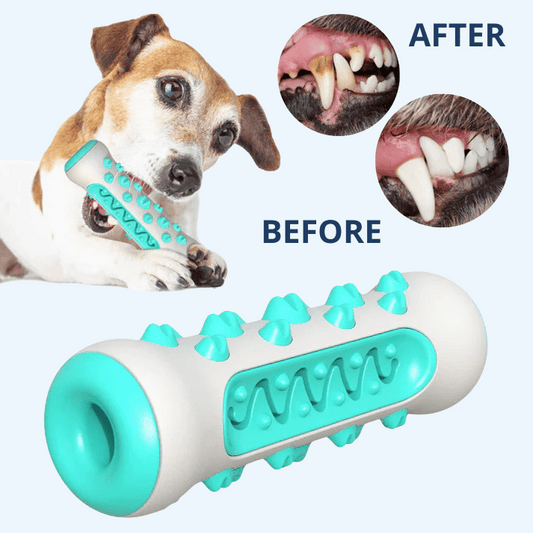 3-in-1 Dental Bone – Cleans Teeth, Fights Tartar & Entertains